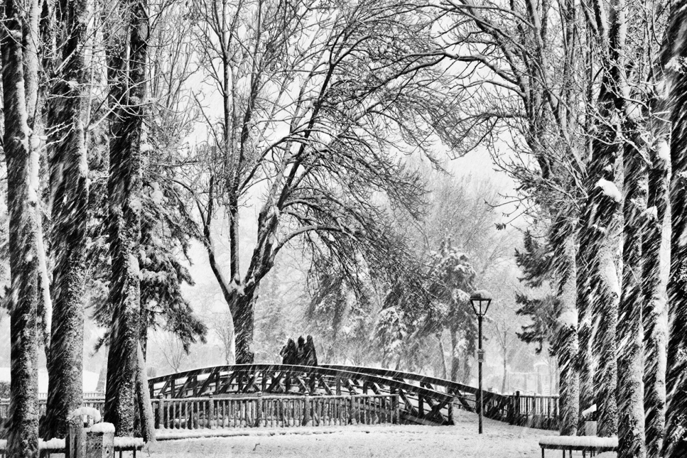 Fotoğraf Yarışması Sonuçları Açıklandı