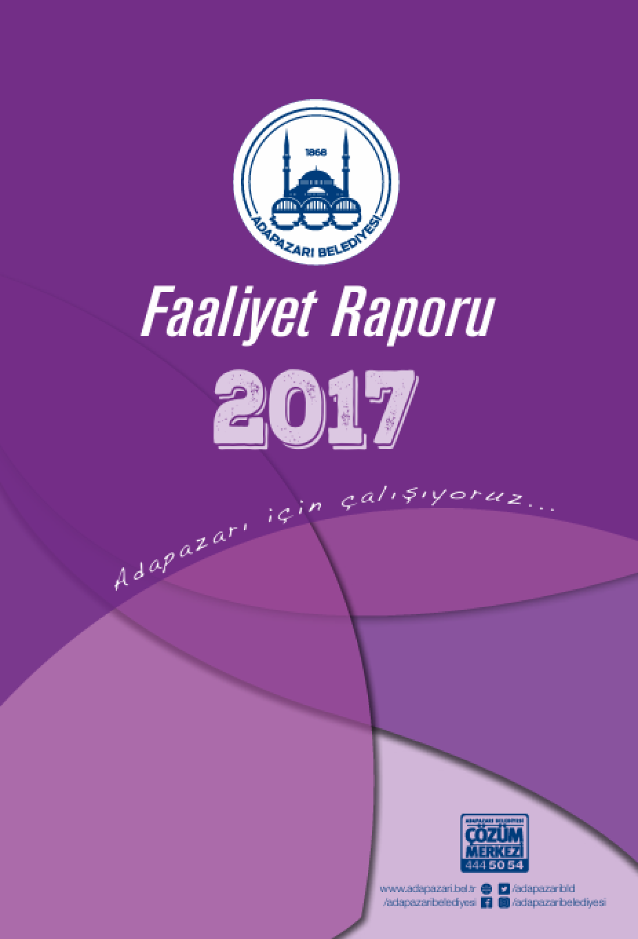 2017 Yılı Faaliyet Raporu